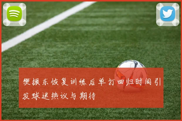 樊振东恢复训练后单打回归时间引发球迷热议与期待